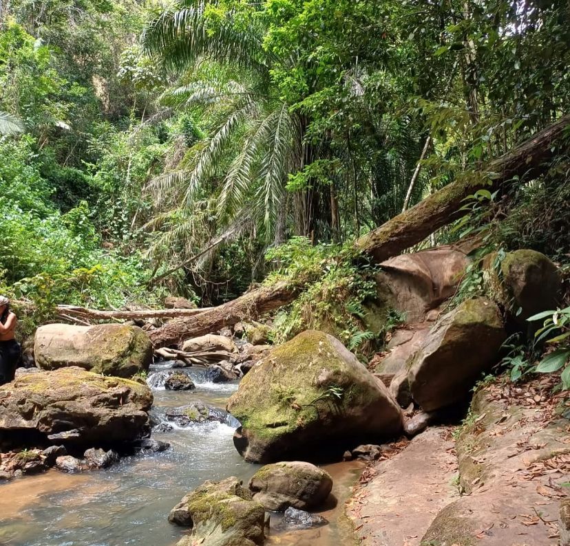 Natureza pra respirar fundo